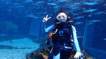 三亚海棠湾洲际酒店海洋馆海洋世界精品潜水体验 全年海水恒温28度,亲子互动潜水 浪漫水底求婚