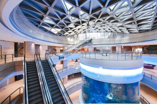 亚洲购物中心室内最大的360度全景柱状海洋馆正式亮相星光68广场