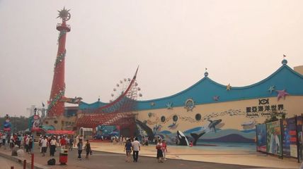 营收不够,企鹅来凑,高管乱斗!这家公司股价跳水后再遭问询!