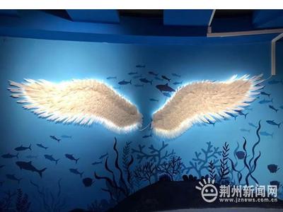 来啦!一批海洋萌物将入住荆州小梅沙海洋馆