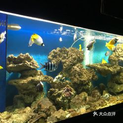 电话,地址,价格,营业时间 阳西县周边游