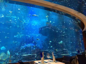 北京销售海洋建造哪家好
