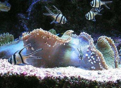 热那亚水族馆好玩吗,热那亚水族馆景点怎么样_点评_评价【携程攻略】