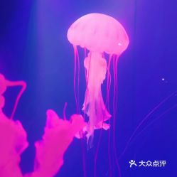 电话,地址,价格,营业时间 图 鄂尔多斯周边游