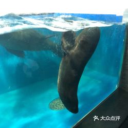 电话,地址,价格,营业时间 双流区周边游