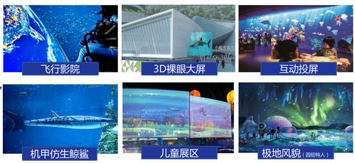 十一试营业 深圳最大海洋馆 小梅沙海洋世界 焕新