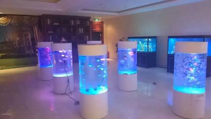 2017景观海洋生物展出租海洋展览公司特色海狮租赁_其它类栏目_