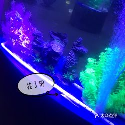 电话,地址,价格,营业时间