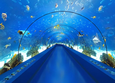 开个水族店要多少钱