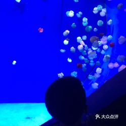 电话,地址,价格,营业时间 鄂尔多斯周边游