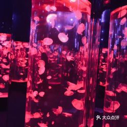 电话,地址,价格,营业时间 双流区周边游