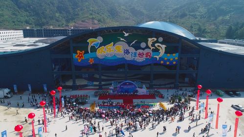 福州15万平方米的海洋世界,半小时带你打卡南北极,五一的好去处