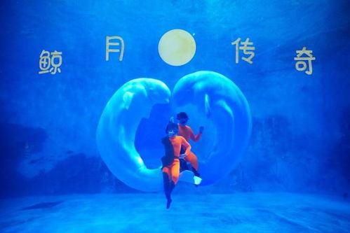 企鹅展区全新升级 鸟语林 探奇鱼宙 新年上新 天津海昌极地海洋公园鼠年生肖票仅售9.9元