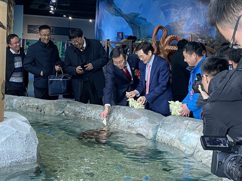 周口海洋馆今日举行盛大的开业典礼,热烈祝贺2020.1.1日正式营业
