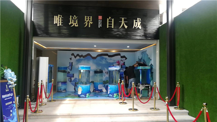 哪里有海洋生物展览租赁鱼缸展览租赁的