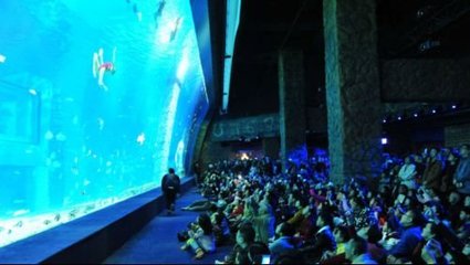 正佳广场 海洋世界承重性很安全(组图)