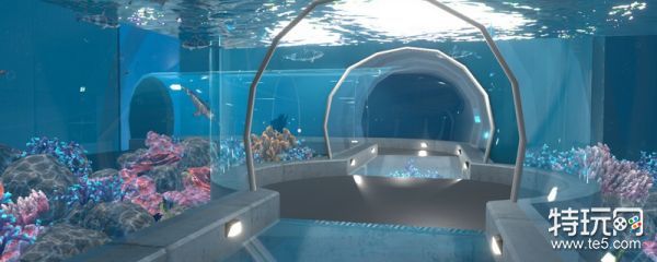 水族馆有什么特色内容