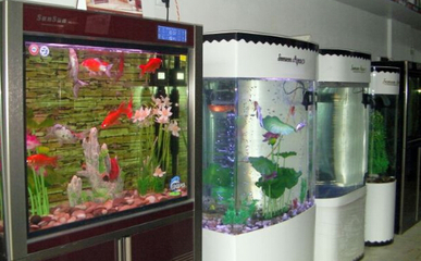 森森水族加盟多少钱