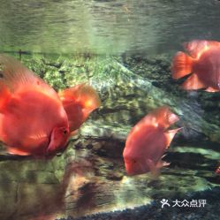 电话,地址,价格,营业时间 图 北京周边游