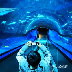 电话,地址,价格,营业时间 图 北京周边游