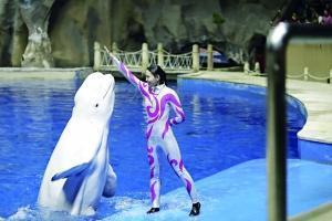 守护蓝色海洋 从点滴行动开始