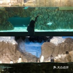 电话,地址,价格,营业时间 双流区周边游