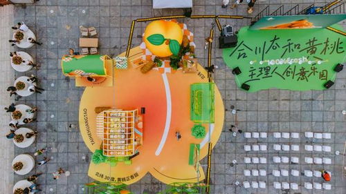 合川推进农产品品牌内容建设和创新营销 实现优质优价强农战略