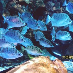 电话,地址,价格,营业时间 图 北京周边游