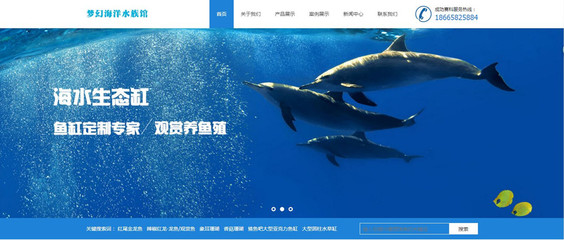 成功与深圳市南山区梦幻海洋水族馆达成网站建设项目