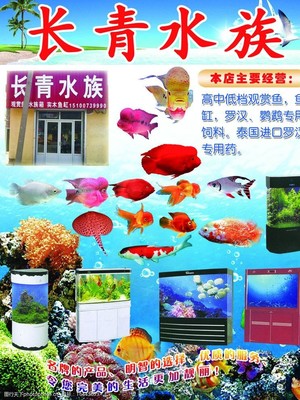水族馆类单页图片
