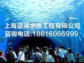 供应海洋馆整体设计规划 水族生物供给 海洋馆运营维护