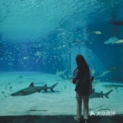 电话,地址,价格,营业时间 图 北京周边游