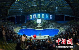 天恒创新房地产营销模式 不用售楼处就能卖房子