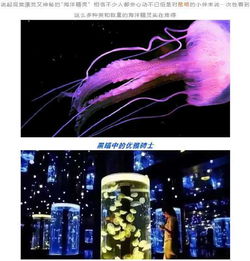 坑 吾悦广场海洋馆还不如花鸟市场 官方 已责令其暂停营业