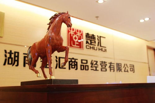 湖南楚汇商品经营