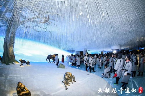又获奖啦 体验考察类优秀奖