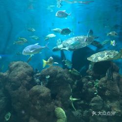电话,地址,价格,营业时间 郑州周边游