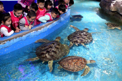 信阳龙都海洋欢乐世界盛况来袭