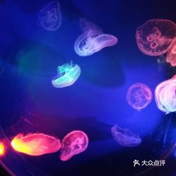 电话,地址,价格,营业时间 郑州周边游