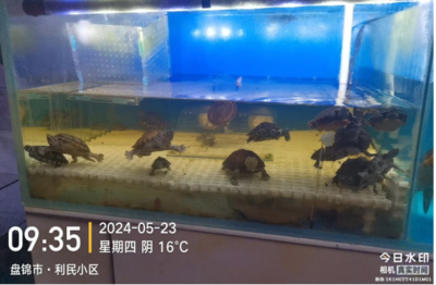 渔政执法大队开展水生野生动物保护专项执法检查