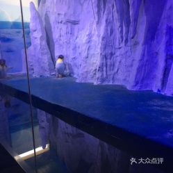 电话,地址,价格,营业时间 三亚周边游