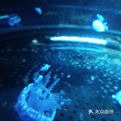 电话,地址,价格,营业时间 西安周边游