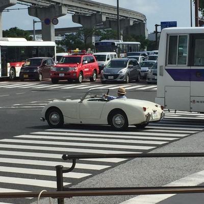 手把手教你如何在冲绳坐公交车(含美丽水族馆)=一个金牛座写给你的实用游记(多组实用图片,一定要看!)