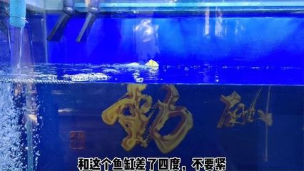 莫力达瓦达斡尔族自治旗尼尔基镇天池水族馆(呼伦贝尔莫力达瓦达斡尔族自治旗尼尔基镇天池水族馆详细介绍)