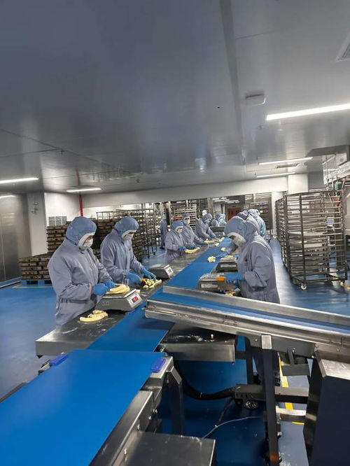 探访盒马工厂 盒马的新变化 不止折扣化升级