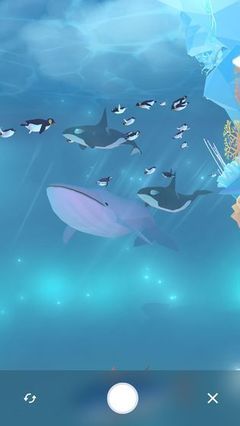 金多多水族馆