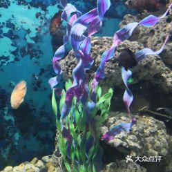 电话,地址,价格,营业时间 苏州周边游